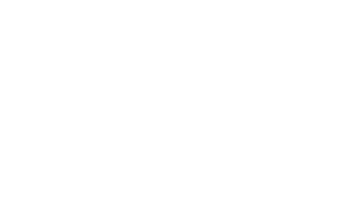 Martinox Logo